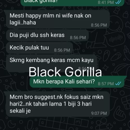 Testimoni Black Gorilla 10