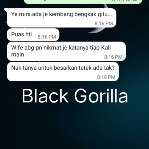 Testimoni Black Gorilla 4