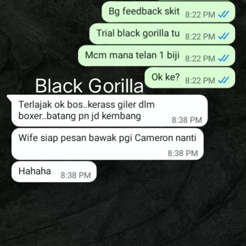 Testimoni Black Gorilla 9