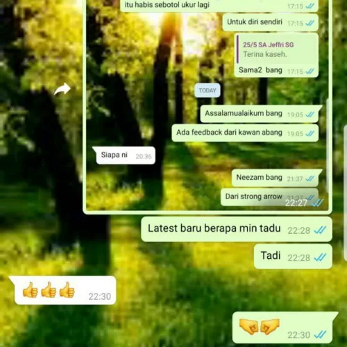 Testimoni Strong Arrow 2