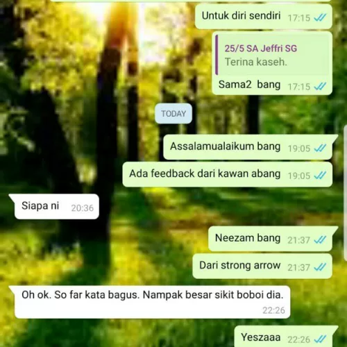 Testimoni Strong Arrow 3